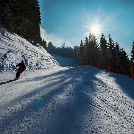 Mansion In Eben Near Salzburger Sportwelt * Eben Im Pongau
