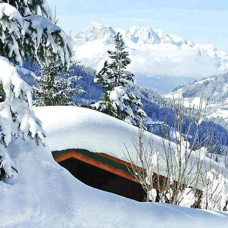 別荘 Mansion In Eben Near Salzburger Sportwelt エーベン・イム・ポンガウ